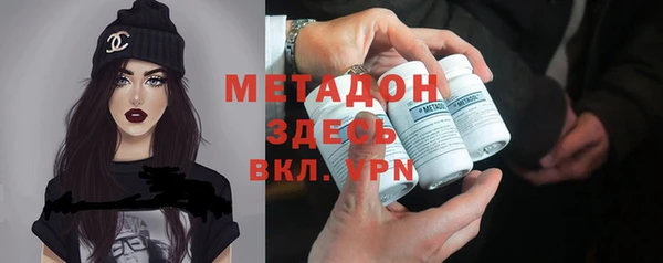 индика Аркадак