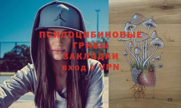 индика Аркадак