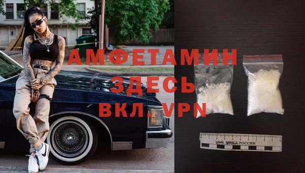 индика Аркадак
