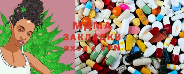 индика Аркадак