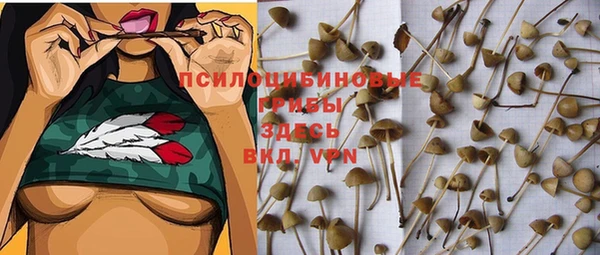соль курить ск Арсеньев