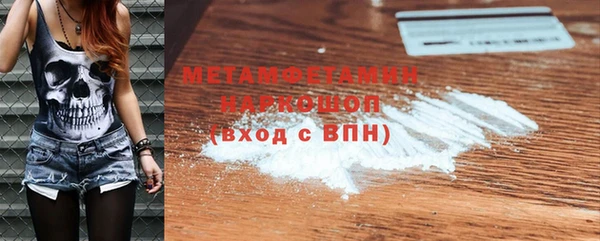 индика Аркадак