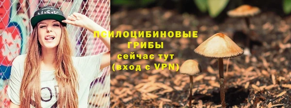 индика Аркадак