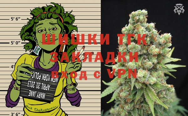 индика Аркадак